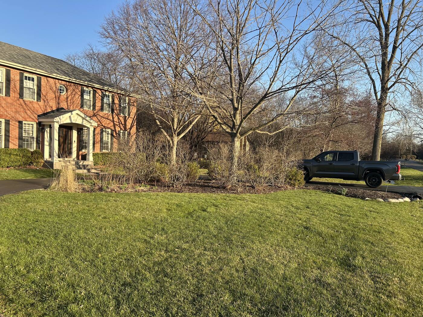 Overgrown, bare front foundation bed with leggy dormant shrubs before renovation