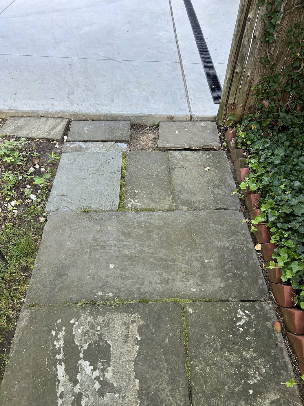 Uneven, shifted stone walkway pavers with moss growth in need of releveling